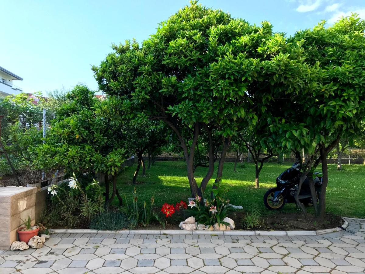Apartments Kraja Ulcinj Exterior foto