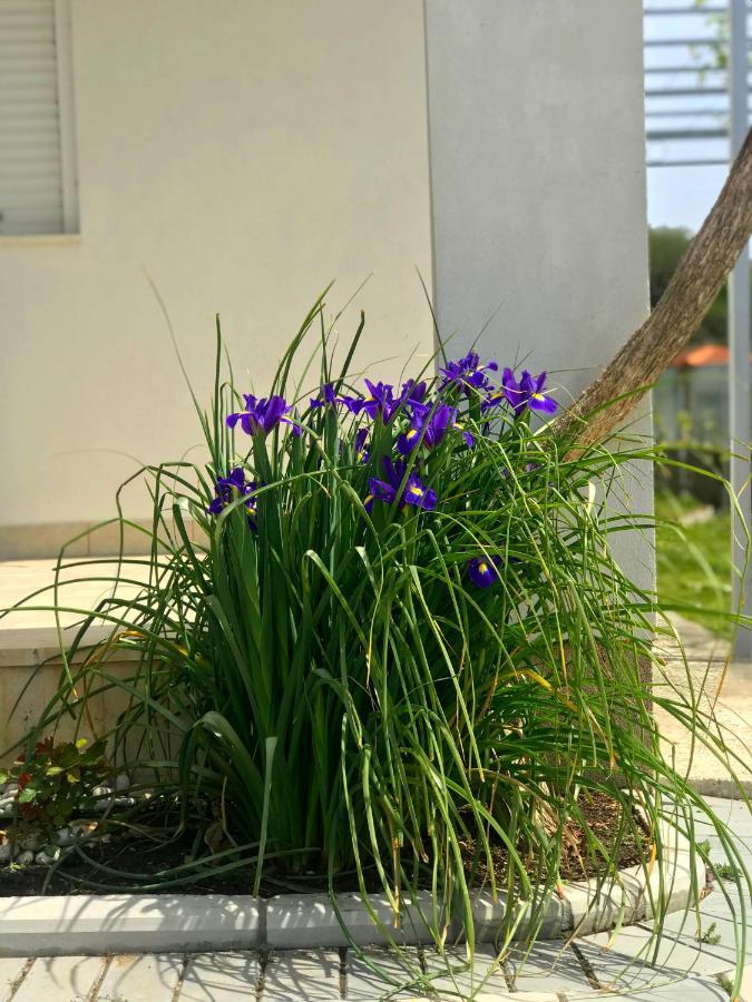 Apartments Kraja Ulcinj Exterior foto